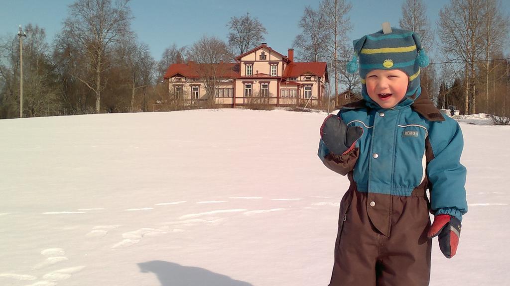 Loeydoen Kartano Ristiina Exterior foto